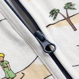 ZIPSTER™ x Il Piccolo Principe: La vita è un'avventura