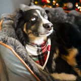 مريلة كلب تارتان دريمز باندانا للحيوانات الأليفة