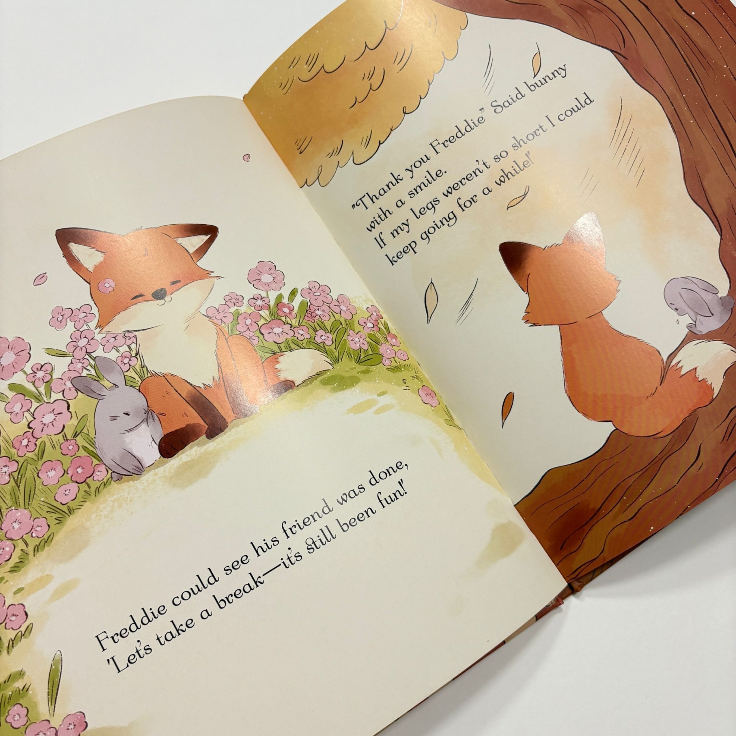Freddie the Fox Cub - Hard Back Book