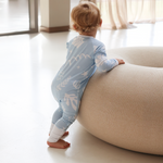 ZIPSTER™ Arctic Ocean