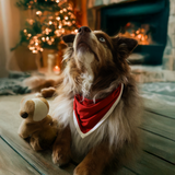 مريلة الكلب باندانا تراث أحمر للحيوانات الأليفة