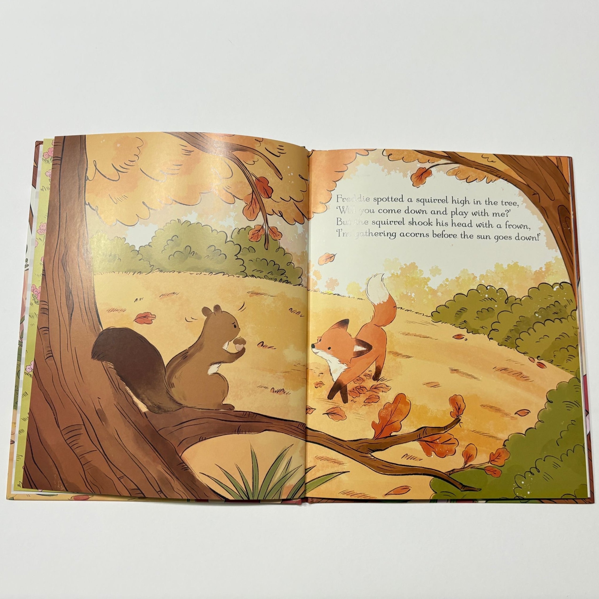 Freddie the Fox Cub - Hard Back Book