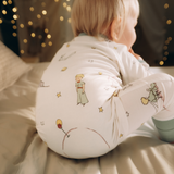 ZIPSTER™ Piccolo Principe Asteroide B-612